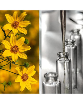 Гідролат череди – 50 г