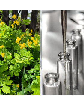 Гидролат чистотела - 50 г