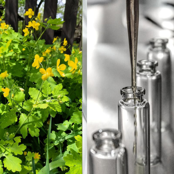 Гідролат чистотілу – 50 г