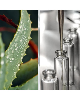 Гідролат алое – 50 г