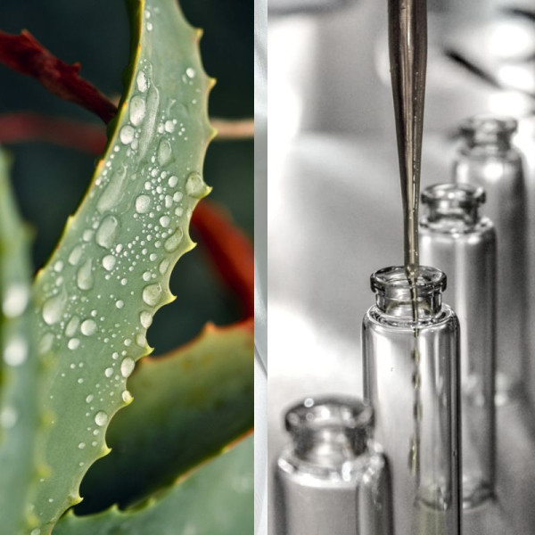 Гидролат алоэ - 50 г