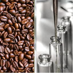 Гідролат кави – 50 г