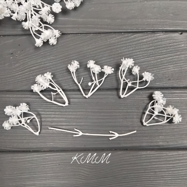 Гіпсофіла Білосніжна декоративна - гілка