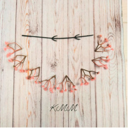 Гипсофила  мелкая Пудровая декоративная - ветка-foto2