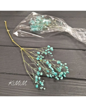 Гипсофила Бирюзовая стабилизированная сухоцвет (2,5 г)