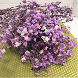 Гіпсофіла Бузкова стабілізована сухоцвіт (1 г)