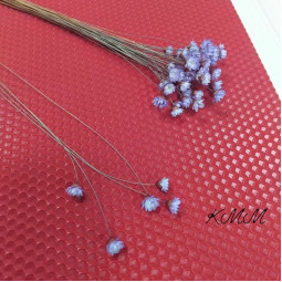 Гликсия Сиреневая (0,5-1см цветок) натуральная сухоцвет -5 шт.