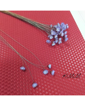 Гліксія Бузкова (0,5-1см квітка) натуральна сухоцвіт -5 шт.