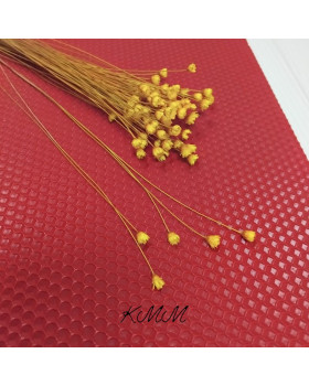 Гліксія Жовта (0,5-1см квітка) натуральна сухоцвіт -5 шт.