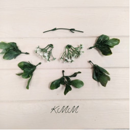 Гортензия Белая декоративная 7насадок  - ветка-foto2