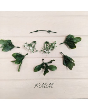 Гортензія Зелена декоративна 7 насадок - гілка-foto2