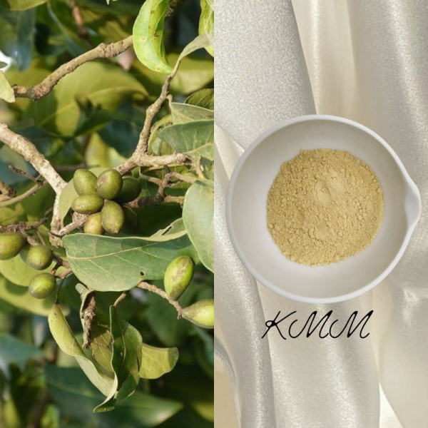 Аюрведична пудра Харітакі Індія -10г