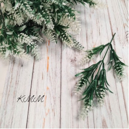 Хміль Білий з гострим  листом  декоративний - гілка