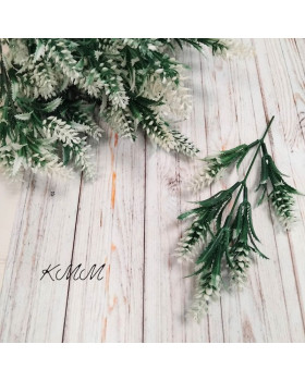 Хміль Білий з гострим  листом  декоративний - гілка