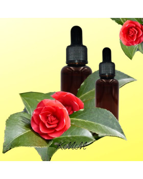 Олія насіння камелії рафінована (з піпеткою) Велика Британія - 10 г  Олія насіння камелії рафінована (з піпеткою) Велика Британія - 10 г