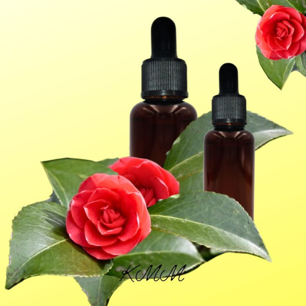 Олія насіння камелії рафінована (з піпеткою) Велика Британія -10 г Олія насіння камелії рафінована (з піпеткою) Велика Британія -10 г