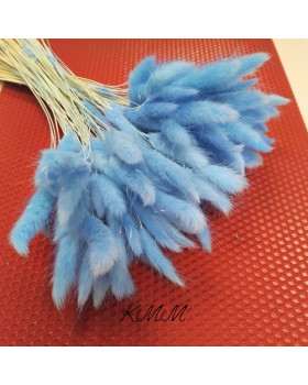 Лагурус  блакитний сухоцвіт – 5 шт.