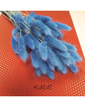 Лагурус  синій сухоцвіт – 5 шт.