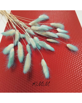 Лагурус  градієнт блакитний сухоцвіт – 1 шт.