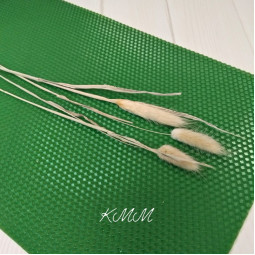 Лагурус натуральный сухоцвет  - 1 шт.-foto2