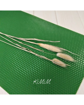 Лагурус  натуральний сухоцвіт – 1 шт.-foto2