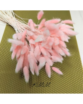 Лагурус  ніжно-рожевий  сухоцвіт – 5 шт.