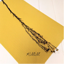 Лен фиолетовый стабилизированный сухоцвет (1шт)-foto2