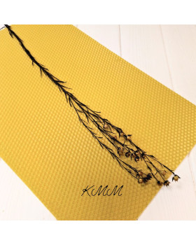 Лен фиолетовый стабилизированный сухоцвет (1шт)-foto2