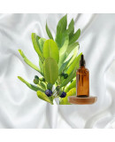  Ефірна олія бей для росту волосся (з піпеткою) Домінікана/Великобританія - 3г