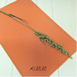 Овес натуральный зеленый сухоцвет - 1 шт.-foto2