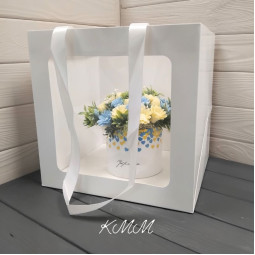 Сумка - переноска с окном  Белая (29,5смх30см х26см) - 1шт-foto2