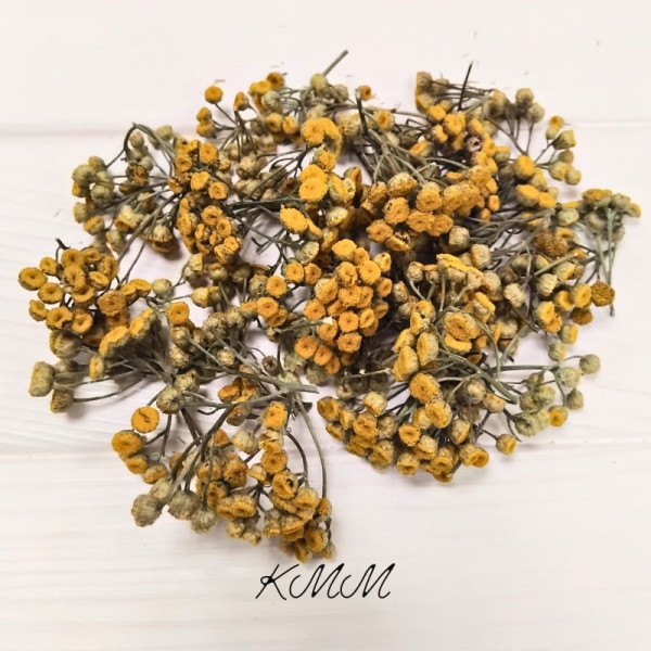 Піжма квіти сухоцвіт - 20г Піжма квіти сухоцвіт - 20г