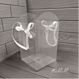 Сумка - переноска прозора зі стрічками 24(29)см х 16см х16см -1шт