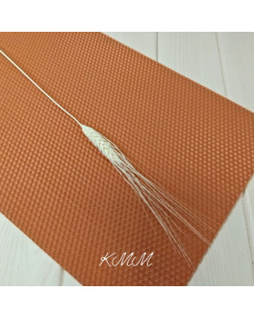 Пшениця Жизель вибілена сухоцвіт - 1 шт.-foto2