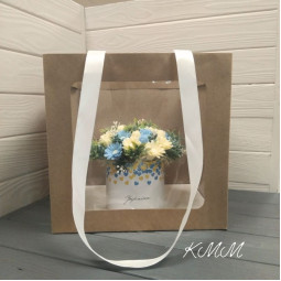 Сумка - переноска с окном  Крафт  (29,5смх30см х26см) - 1шт-foto3