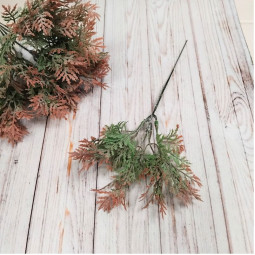 Туя рожево-зелена декоративна - гілка