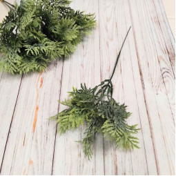 Туя зелена декоративна - гілка