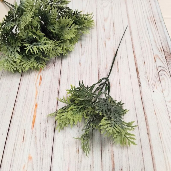 Туя зелена декоративна - гілка