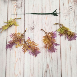 Туя бузкова декоративна - гілка-foto2