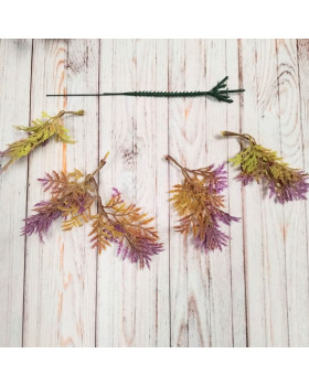 Туя бузкова декоративна - гілка-foto2