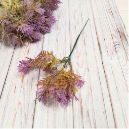 Туя бузкова декоративна - гілка