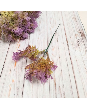 Туя бузкова декоративна - гілка