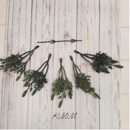 Туя с шишками декоративная зеленая - ветка-foto2