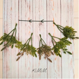 Туя с шишками декоративная пудрово-зеленая - ветка-foto2