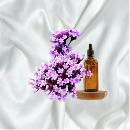 Ефірна олія вербени (з піпеткою) Німеччина - 5 г