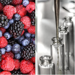 Гідролат Ягідний мікс - 50 г Гідролат Ягідний мікс - 50 г