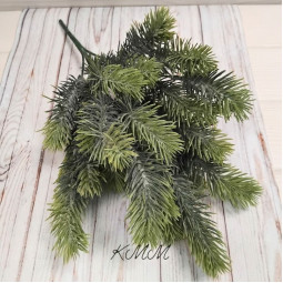 Ель пушистая декоративная - ветка