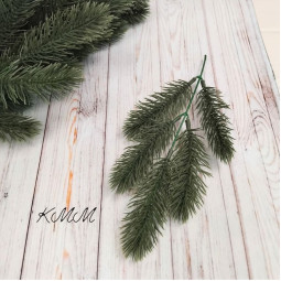Ялинка лісова декоративна - гілка