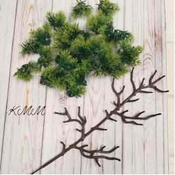 Можжевельник светло-зеленый декоративный, 30 насадок - 1 шт.-foto2