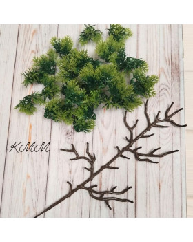 Ялівець світло-зелений декоративний 30 насадок - 1шт.-foto2